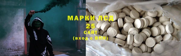 ПСИЛОЦИБИНОВЫЕ ГРИБЫ Балахна