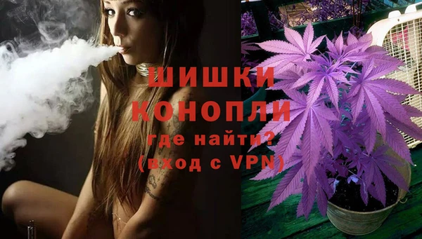 ПСИЛОЦИБИНОВЫЕ ГРИБЫ Балахна