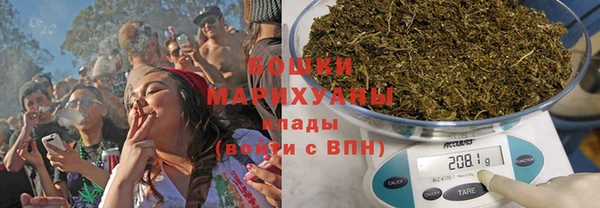 ПСИЛОЦИБИНОВЫЕ ГРИБЫ Балахна