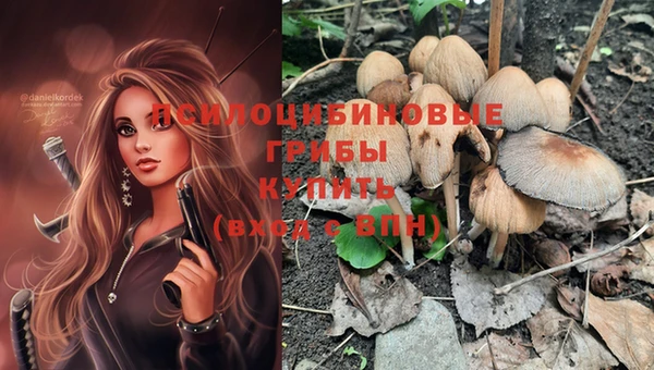 ПСИЛОЦИБИНОВЫЕ ГРИБЫ Балахна