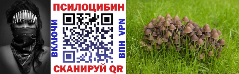 Галлюциногенные грибы Psilocybe  Купить  Апатиты 
